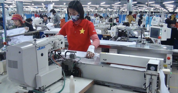 6 tháng đầu năm, Đà Nẵng ban hành 9.305 quyết định hưởng trợ cấp thất nghiệp