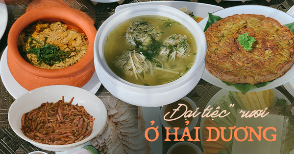 Về Hải Dương thưởng thức rươi đủ món, chỉ cần nghe tên đã thấy thèm