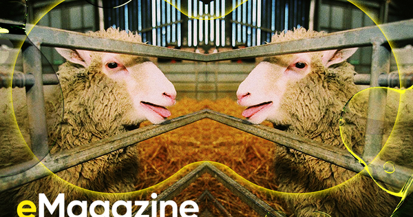Từ cừu Dolly đến voi ma mút: Nhân bản đã thay đổi thế giới của chúng ta như thế nào?