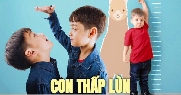Bố mẹ có chiều cao lý tưởng con vẫn có nguy cơ bị lùn: Chuyên gia chỉ ra cách nhận biết trẻ thấp lùn trong tương lai