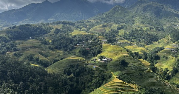 Du khách quốc tế: Yêu Sapa (Việt Nam) với ruộng bậc thang, cộng đồng dân tộc miền núi và đỉnh Fansipan