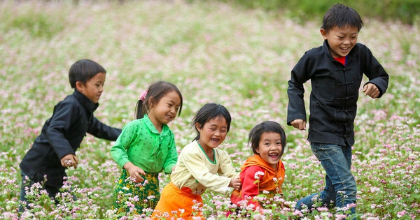 Hà Giang sẵn sàng đón du khách mùa hoa tam giác mạch đẹp nhất trong năm