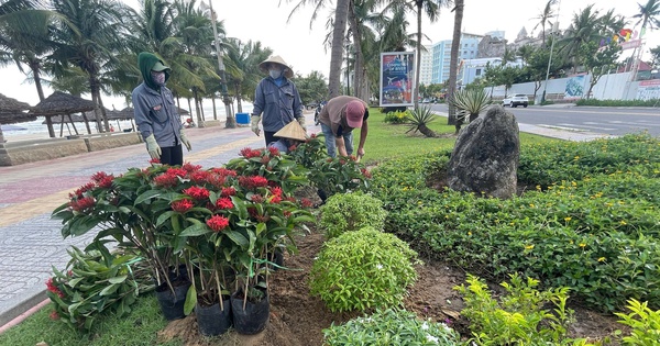 Chỉnh trang lại đường hoa biển Đà Nẵng, tiếp tục phục vụ du khách