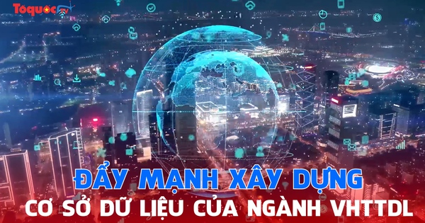 Đẩy mạnh xây dựng cơ sở dữ liệu của ngành VHTTDL, đóng góp tích cực vào quá trình chuyển đổi số quốc gia