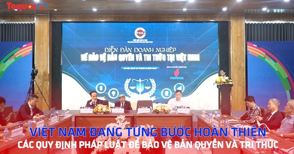 Việt Nam đang từng bước hoàn thiện các quy định pháp luật để bảo vệ bản quyền và tri thức