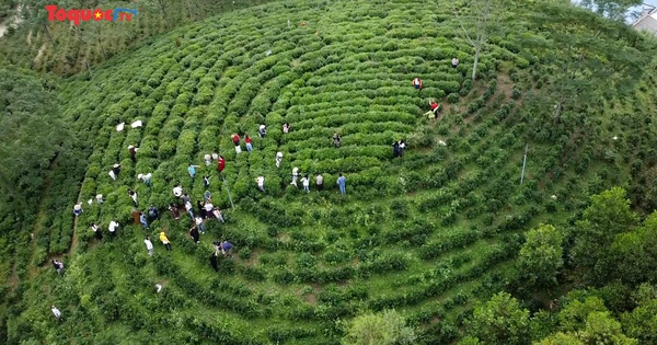 Thái Nguyên: Đẩy mạnh xây dựng sản phẩm du lịch vùng đồng bào dân tộc thiểu số