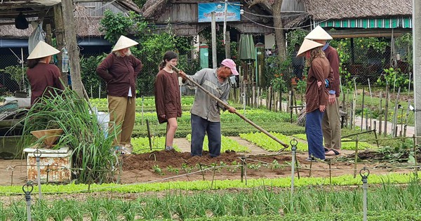 Hình ảnh bình yên ở làng rau Trà Quế - làng du lịch tốt nhất năm 2024