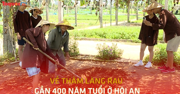 Về thăm làng rau gần 400 năm tuổi ở Hội An