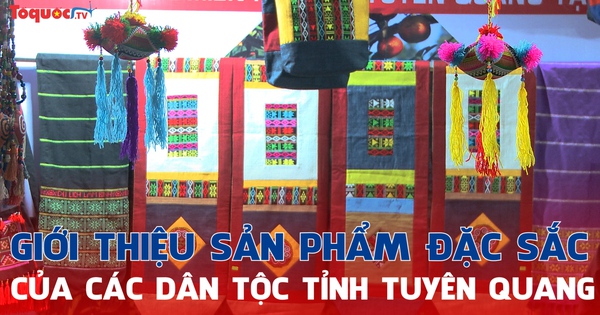 Hải Phòng: Giới thiệu nhiều sản phẩm đặc sắc của bà con dân tộc tỉnh Tuyên Quang