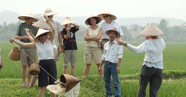 Đào tạo nghề cho lao động khu vực nông thông gắn với bảo tồn, phát huy không gian văn hoá, tiềm năng du lịch