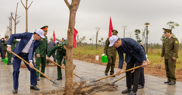 Quảng Bình: Trồng cây gây rừng tạo sinh kế, khai thác du lịch trải nghiệm