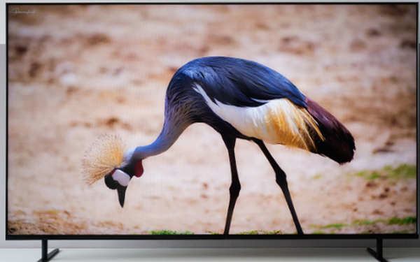 Vì sao TV Sony BRAVIA là lựa chọn hàng đầu để xem phim dịp Tết này?