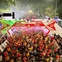 Hà Nội Marathon Techcombank 2023 lan tỏa tinh thần gắn kết cộng đồng