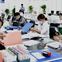 Mới: 3 nhóm đối tượng thuộc diện tinh giản biên chế từ ngày 20/7/2023