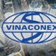 Vinaconex đạt 931 tỷ đồng lợi nhuận trước thuế trong 9 tháng đầu năm 2024