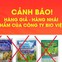 Bio Việt Nam khuyến cáo về hàng giả các sản phẩm của công ty