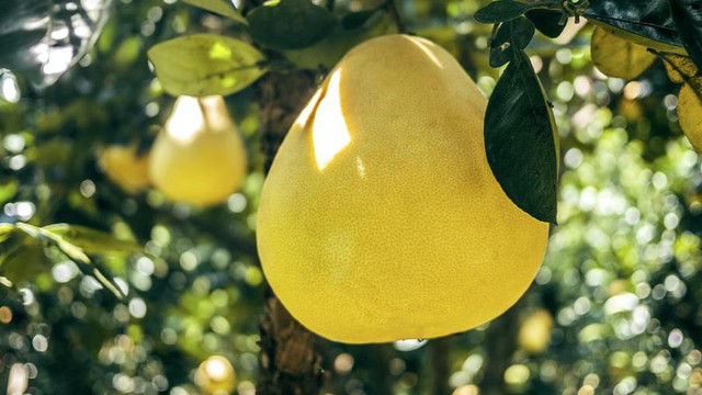kèo nhà cái tỷ lệ bóng đá